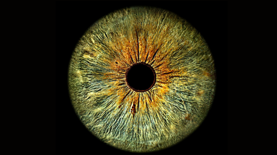 Exposição Olhares do Design - D&D Shopping