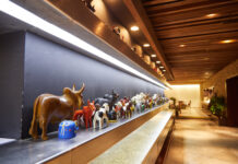 Rodeio Churrascaria: da moda que nunca saiu de moda