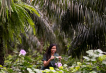 Agropalma alinhada com pautas da COP 30 Agropalma