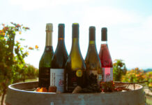 Vinho brasileiro premiado