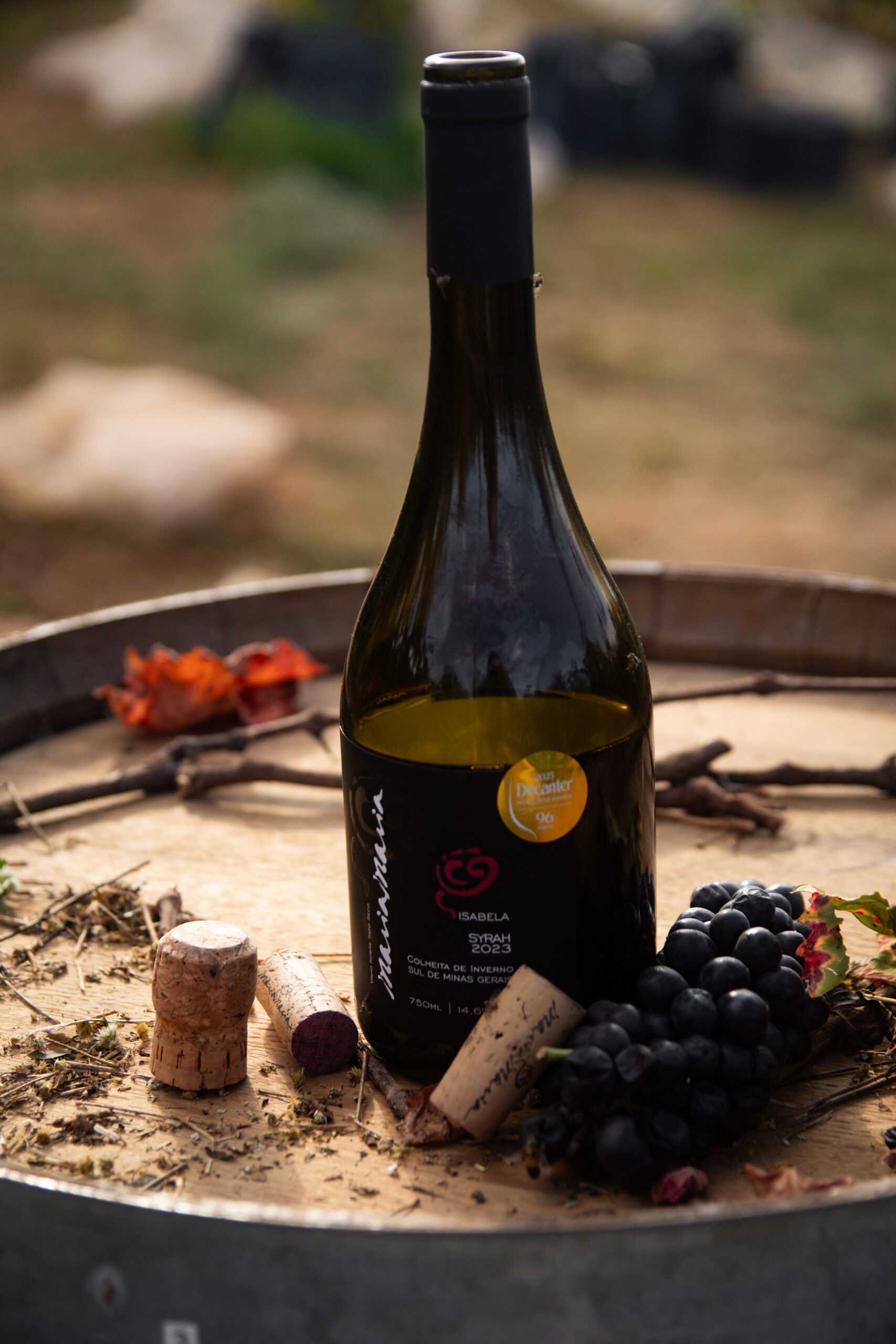 Isabela Syrah 2023, da vinícola mineira Maria Maria