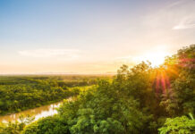 Amazônia na passarela da São Paulo Fashion Week