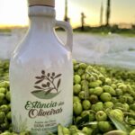 O melhor azeite de oliva do Brasil Azeite Estância das Oliveiras - Foto: Divulgação